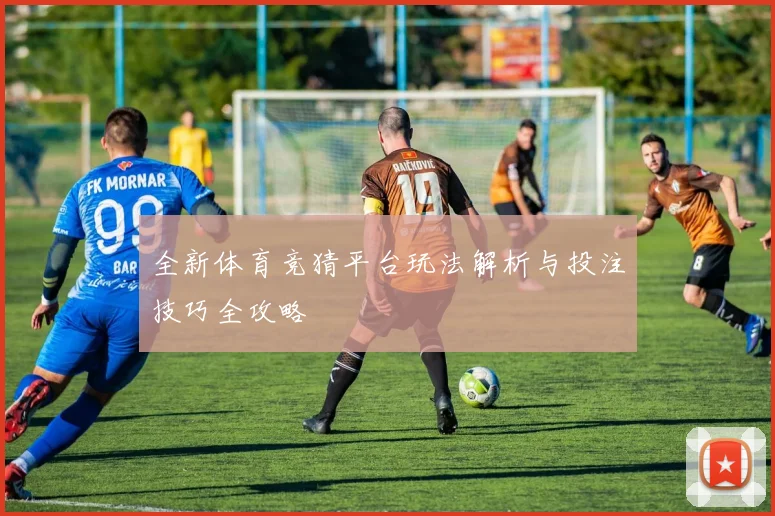 全新体育竞猜平台玩法解析与投注技巧全攻略