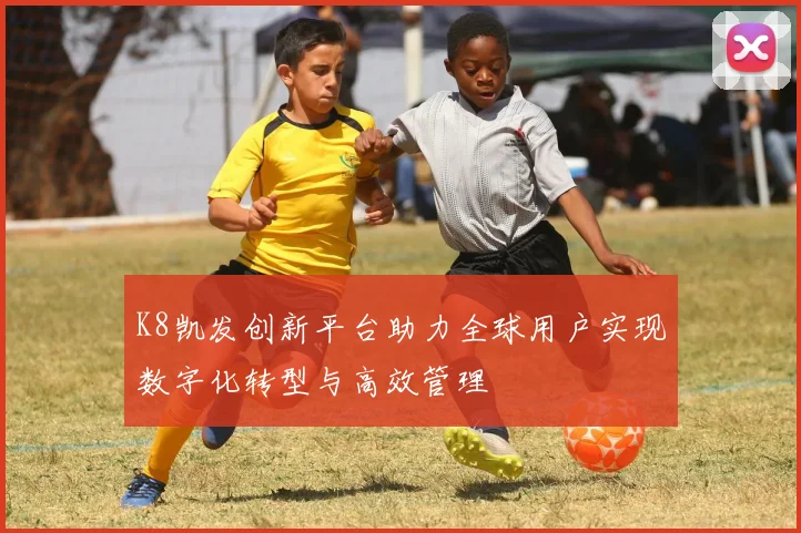 K8凯发创新平台助力全球用户实现数字化转型与高效管理
